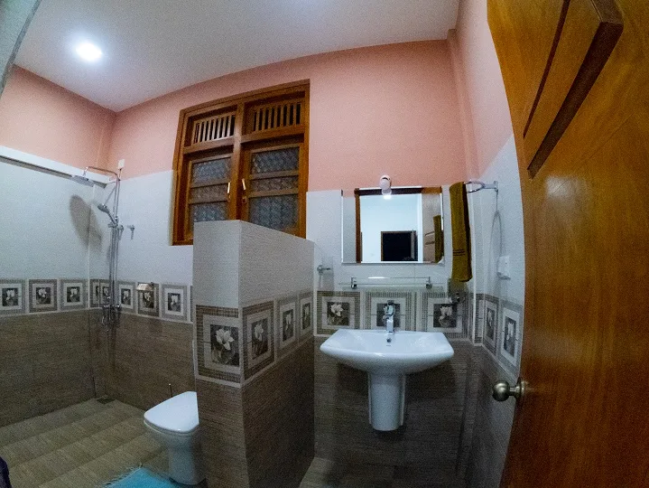 En-suite bathroom in Deluxe Double Room 2 with a walk-in shower, toilet, washbasin and soft pink upper walls
