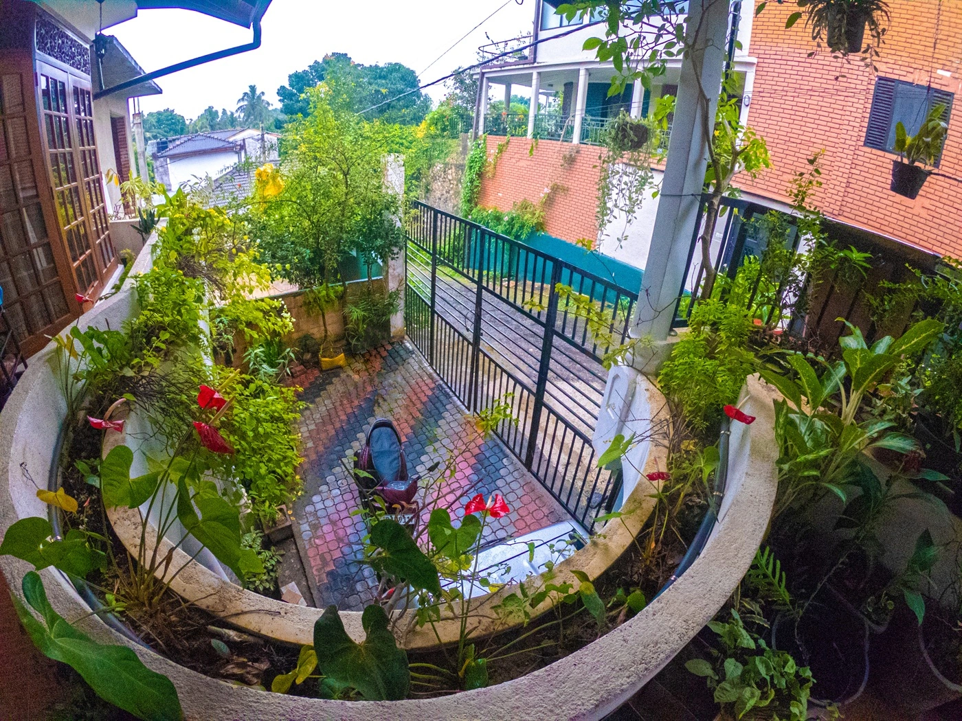Planted terrace with anthuriums looking down over the tiled entrance courtyard