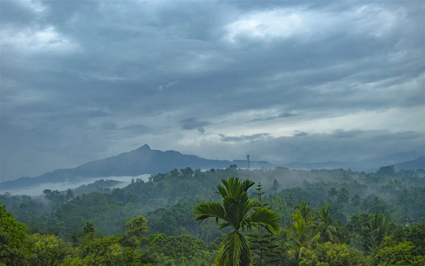 Misty morning hill-country landscape viewed from Innovick Residence balcony